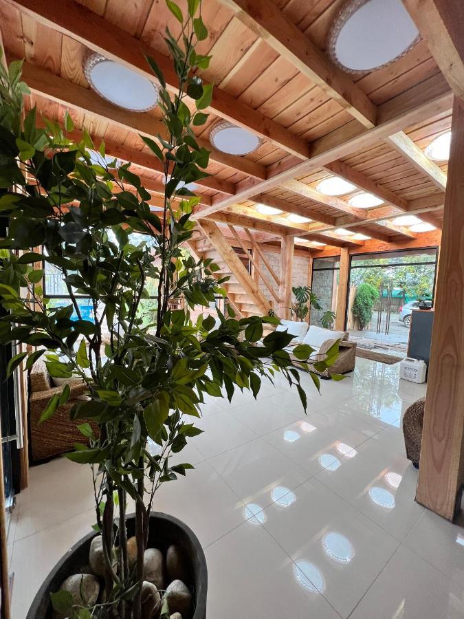 Hotel Boutique Family Suites Panguipulli Dış mekan fotoğraf